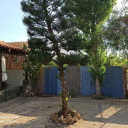 קלמאקי Cactus Home מראה חיצוני תמונה
