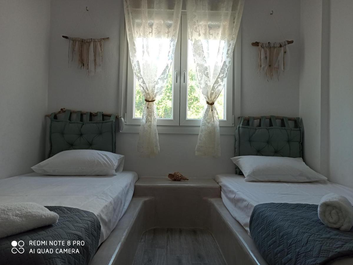 קלמאקי Cactus Home מראה חיצוני תמונה