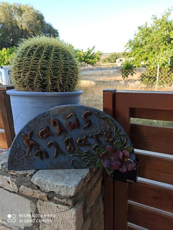 קלמאקי Cactus Home מראה חיצוני תמונה
