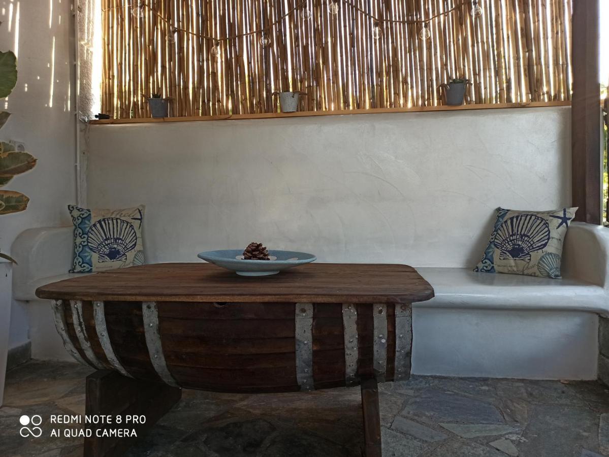 קלמאקי Cactus Home מראה חיצוני תמונה