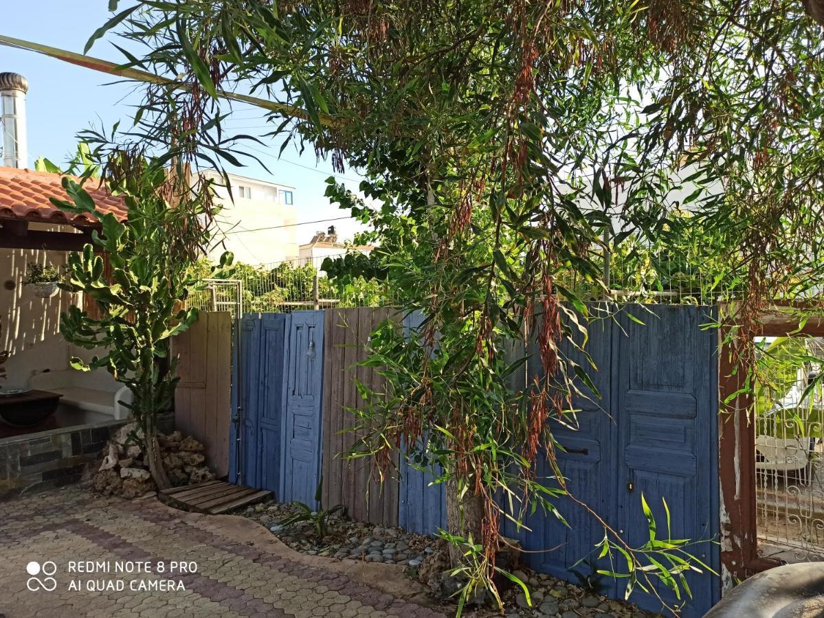 קלמאקי Cactus Home מראה חיצוני תמונה