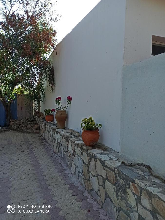 קלמאקי Cactus Home מראה חיצוני תמונה