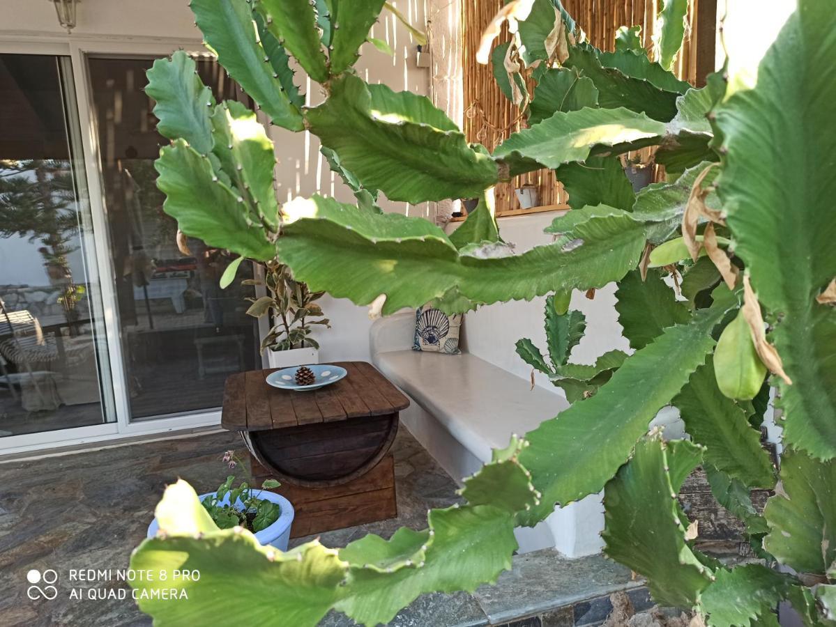 קלמאקי Cactus Home מראה חיצוני תמונה