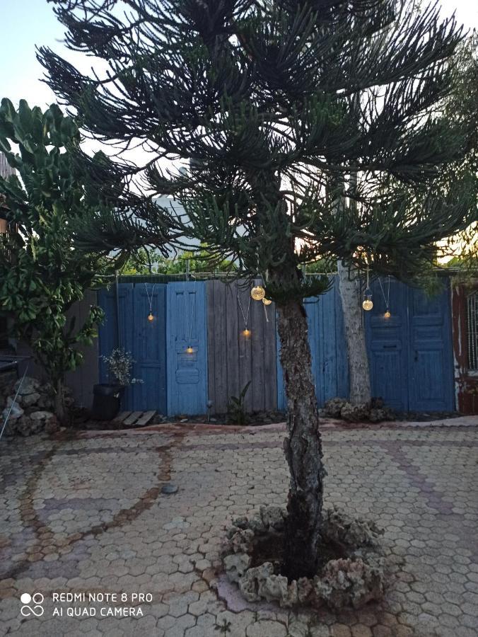 קלמאקי Cactus Home מראה חיצוני תמונה